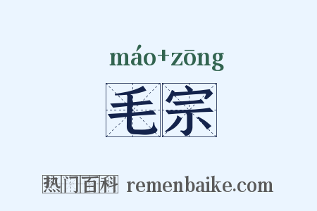 毛宗是什么意思的图片